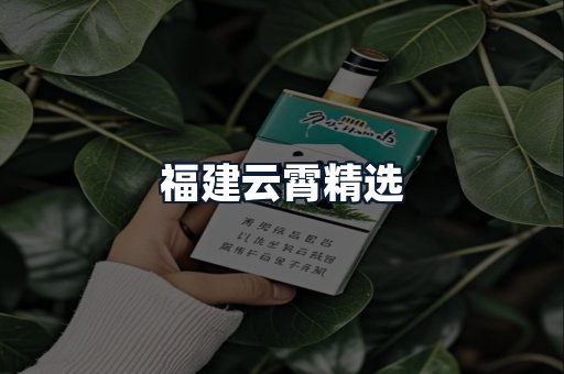 福建云霄精选